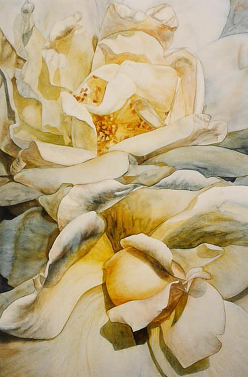 Roos Harry Kirk