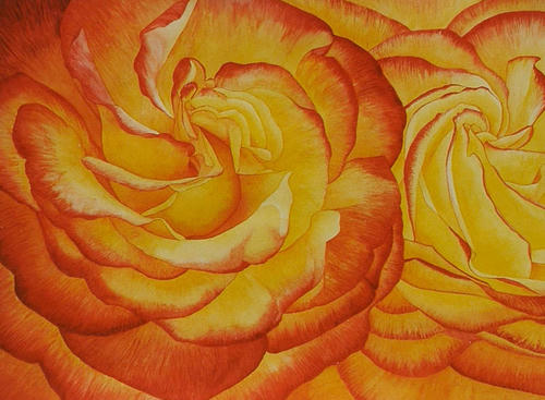 Roos Tequila Sunrise