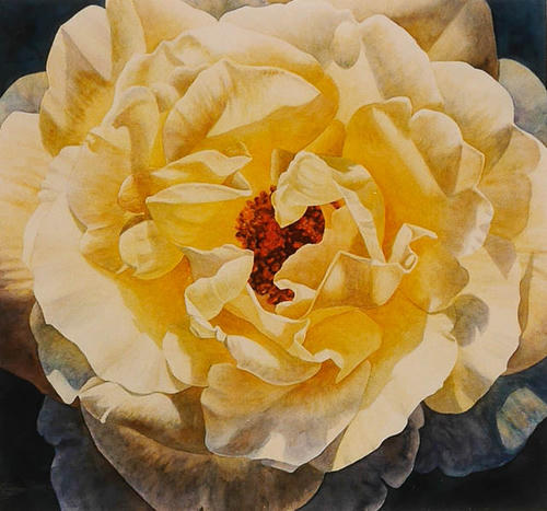 Roos Peaudouce