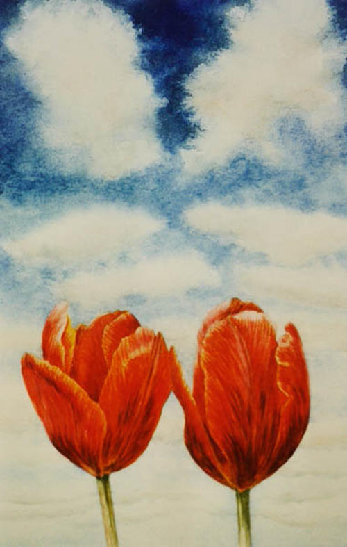 Twee Tulpen