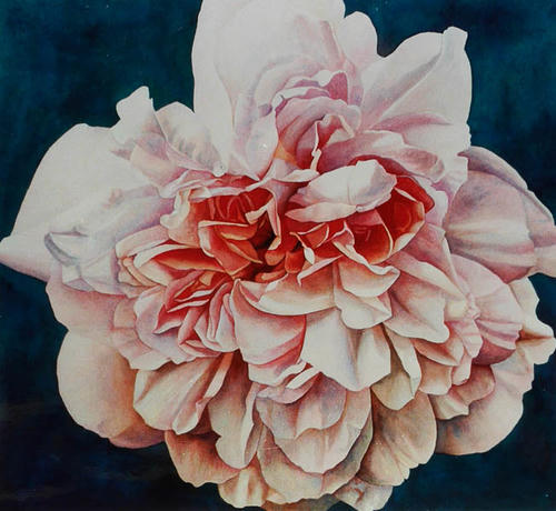 Roos Francois Juranville