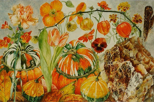 Oranje bloemen en kalebassen
