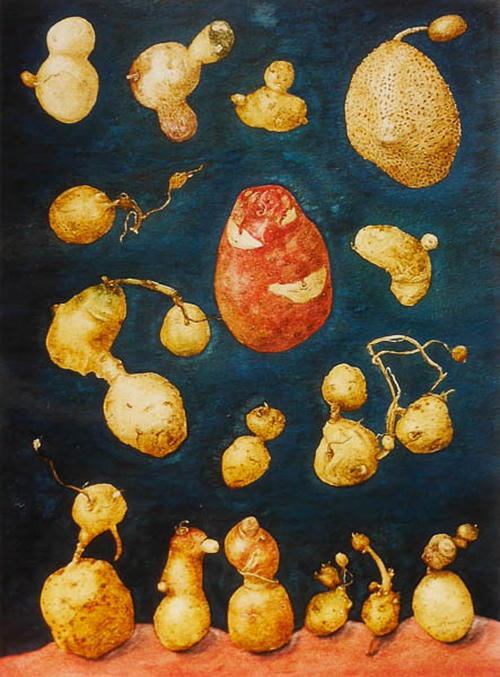 Aardappel Ufo's