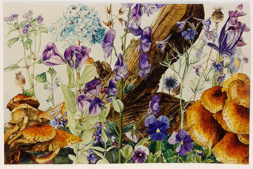 Blauwe bloemen
