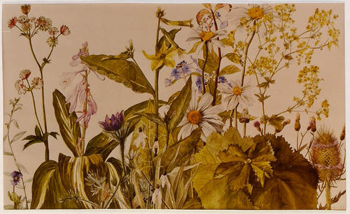 10 bloemen