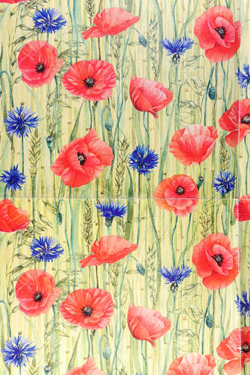 korenbloemen, papavers en graan, dessin