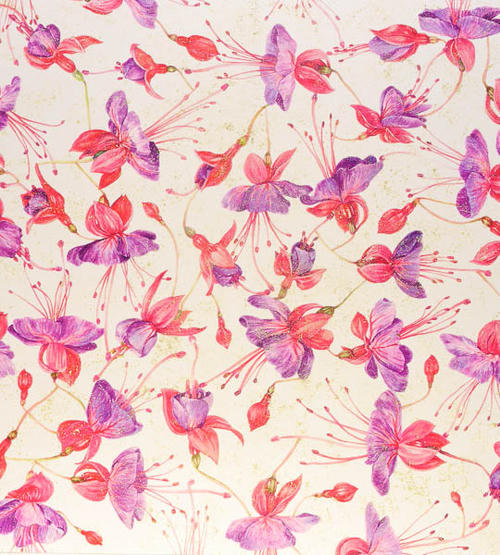 Fucsia bloemen, dessin nr. 19