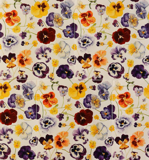 Viooltjes