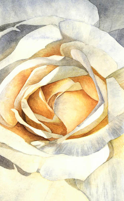Roos Bernina
