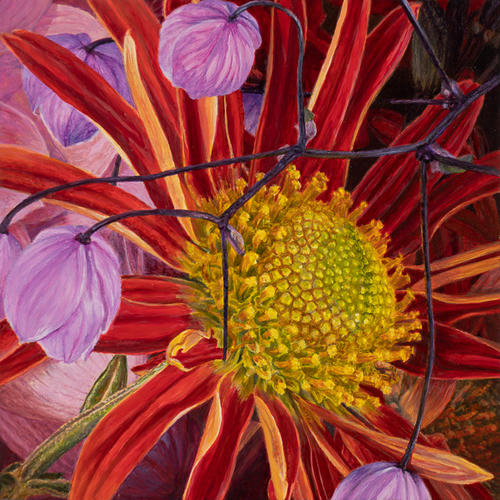 Chrysant