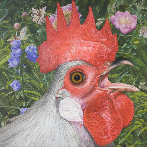 De schreeuw (hollands kriel)
