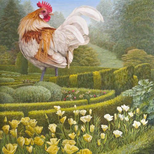 Haantje in Schotse tuin