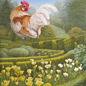 Haantje in Schotse tuin