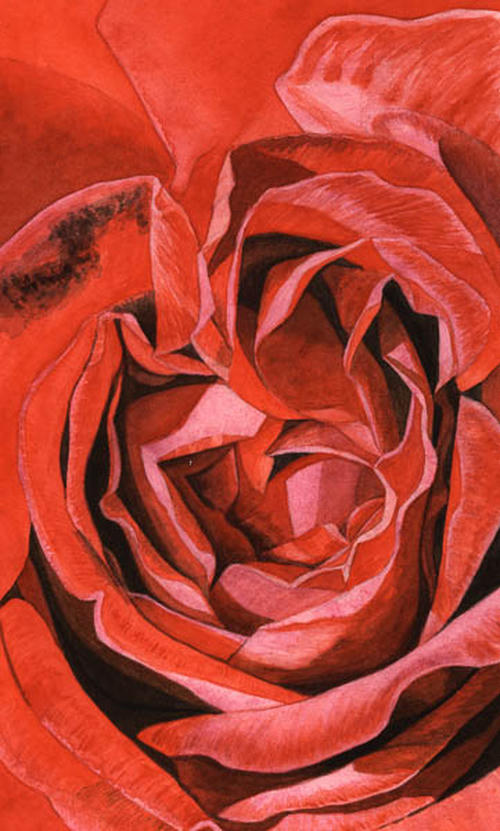 Roos Ingrid Bergmann