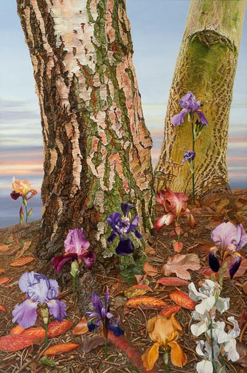 Iris herfst