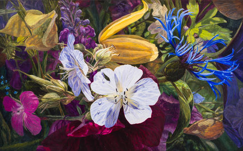 Lichte geranium