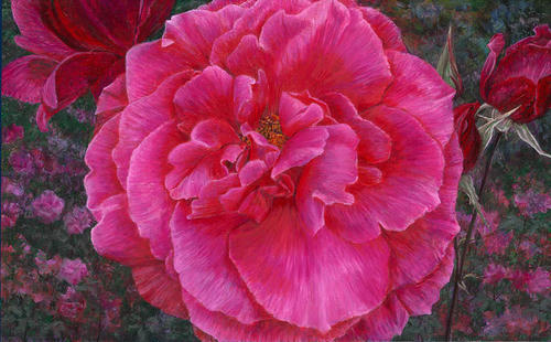 Roos Mullard Jubilee, van voren