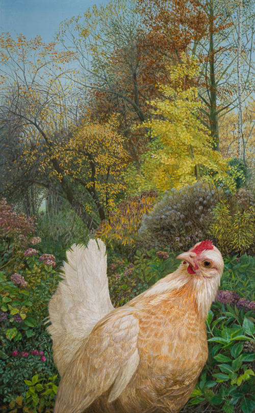 Serama in onze herfst tuin