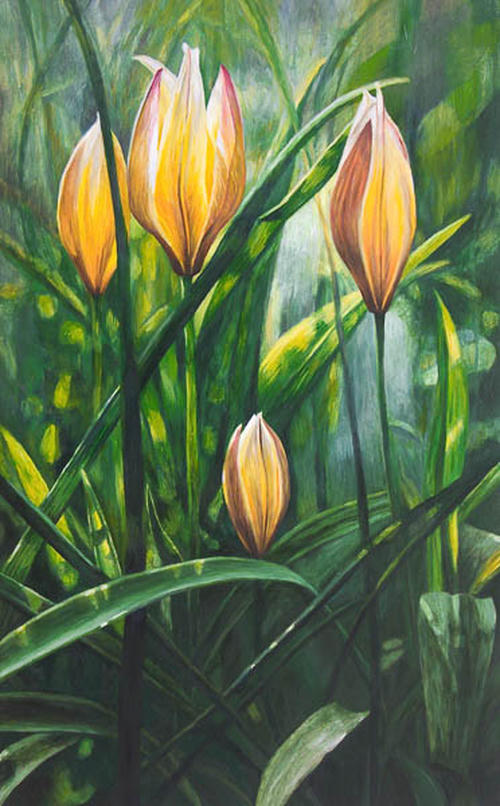 Tulp Tarda