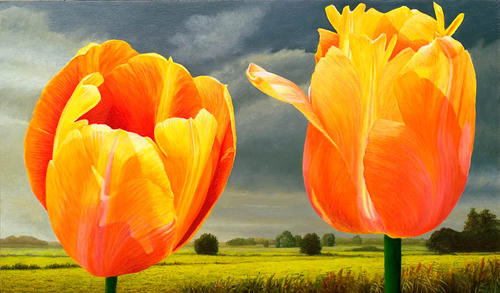Twee Tulpen