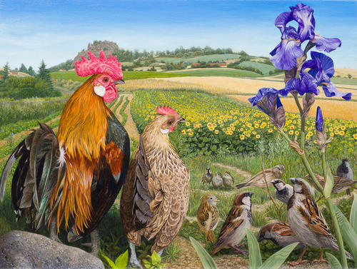 Vogels in Frankrijk