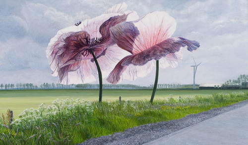 Papaver Rhoeas Parelmoer