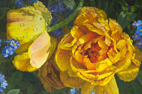 Natte tulpen en vergeet me nietjes