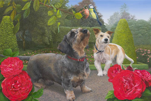 Twee honden in een rosarium