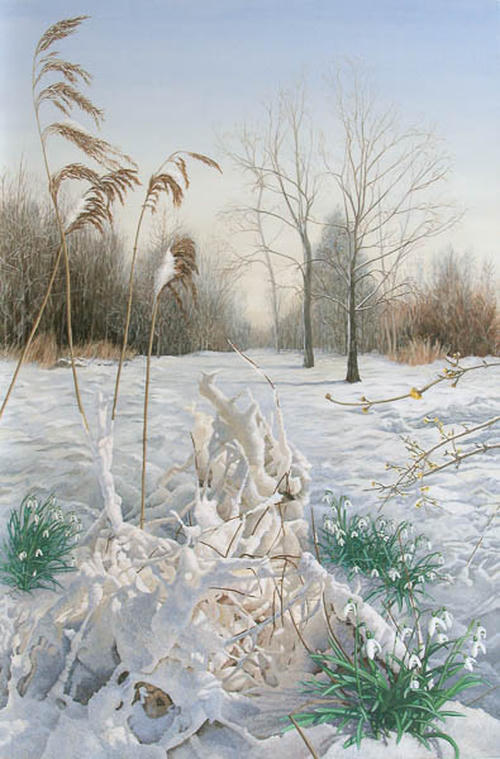 Winter